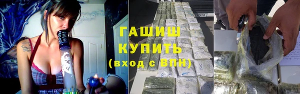 прущие грибы Переславль-Залесский