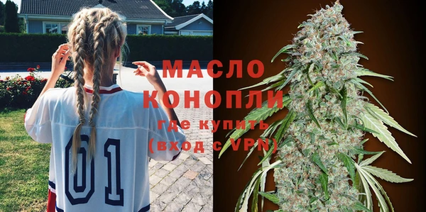 крисы Абаза