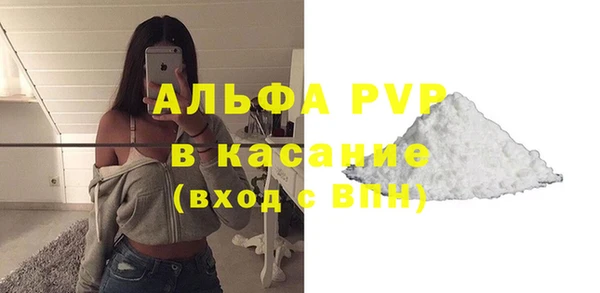 прущие грибы Переславль-Залесский