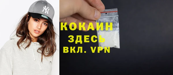 прущие грибы Переславль-Залесский