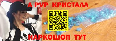 крисы Шелехов